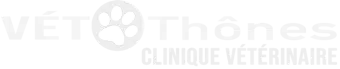 logo_vetothones_300px blanc 2