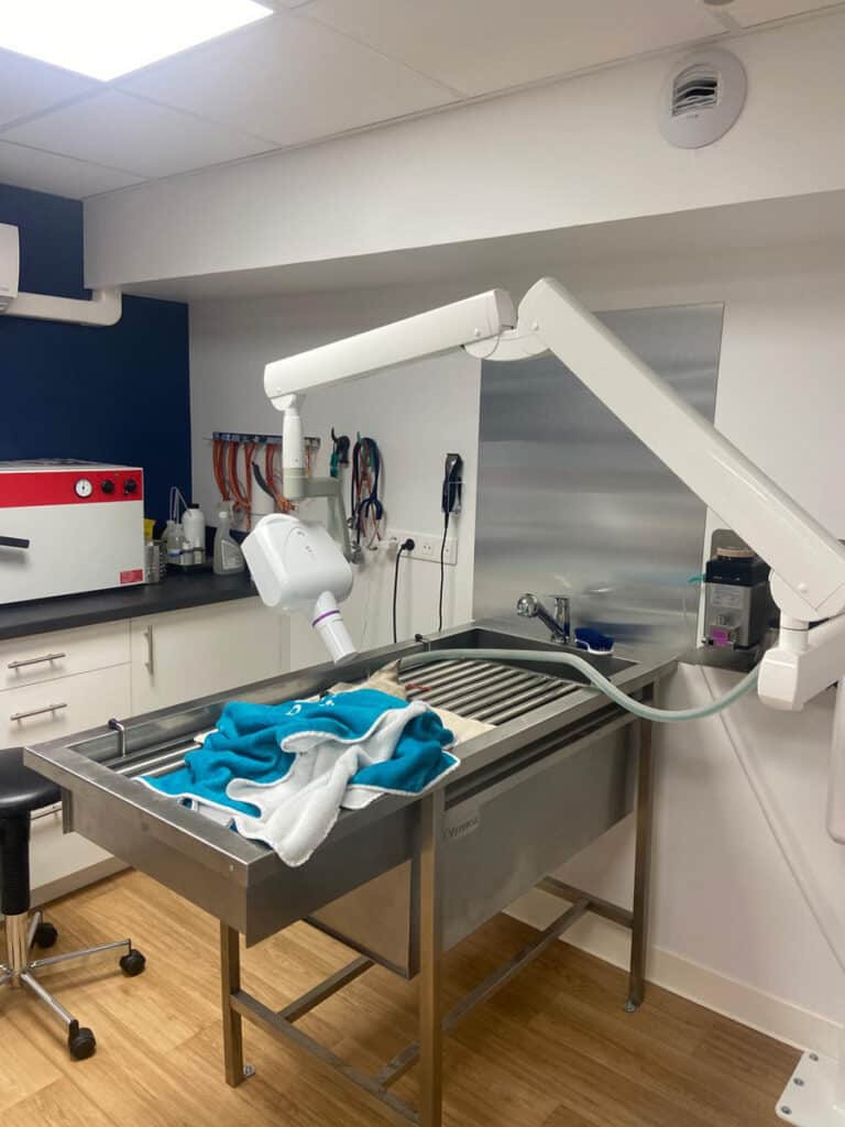 Clinique vétérinaire VETOThônes - Radio dentaire (2)