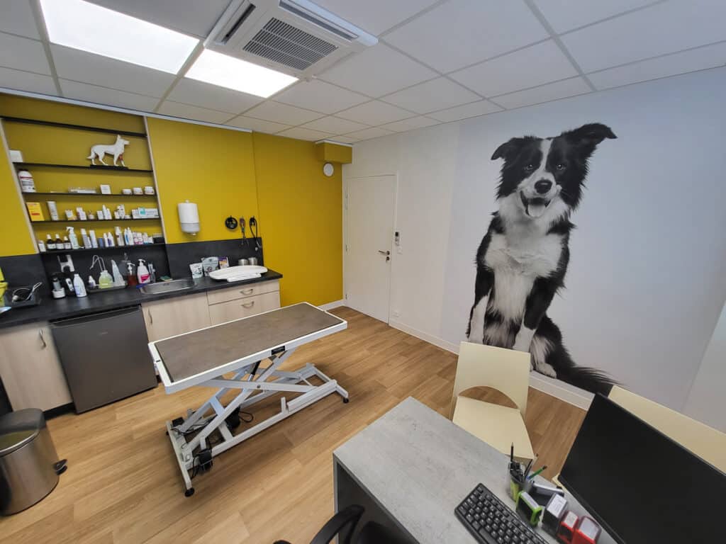 Clinique vétérinaire VETOThônes - Salle de consultation chiens