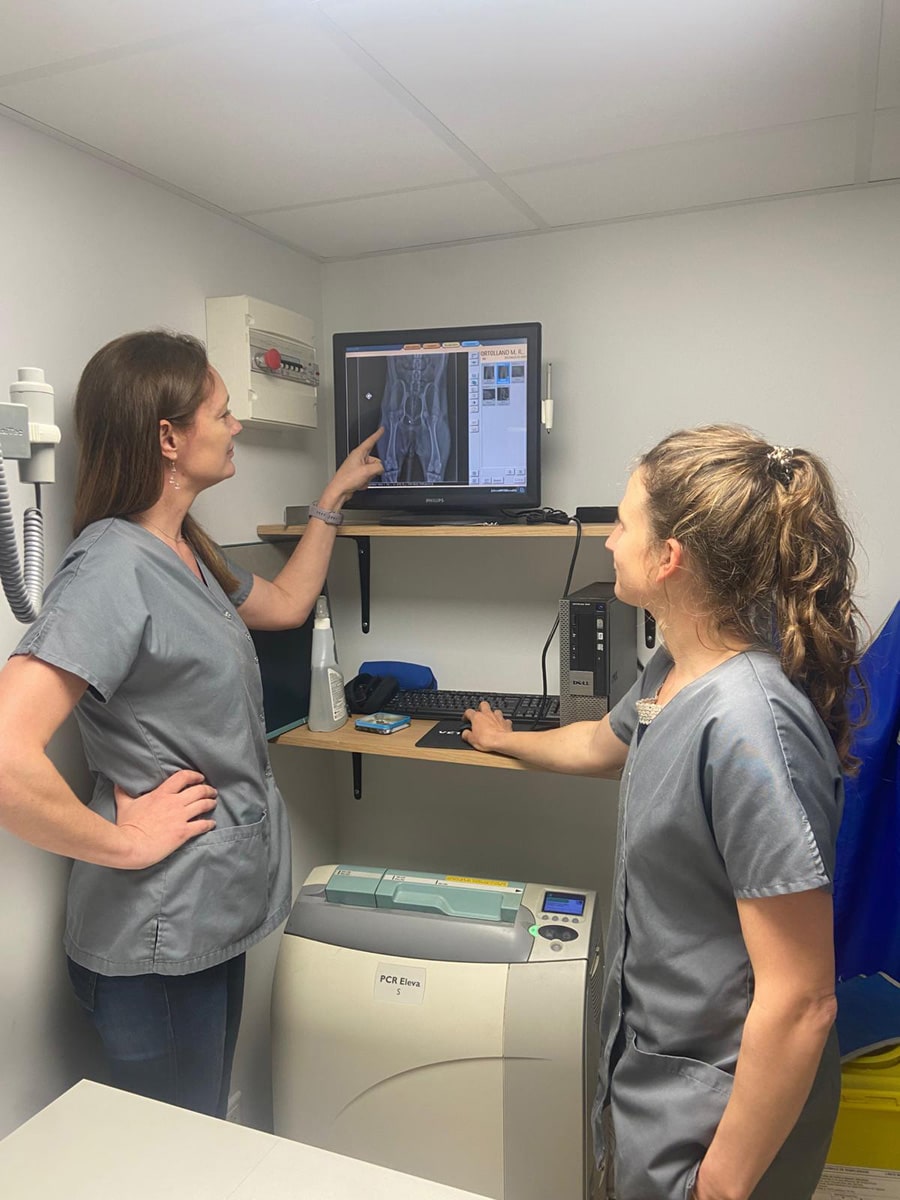 Clinique vétérinaire VETOThônes - radiographie