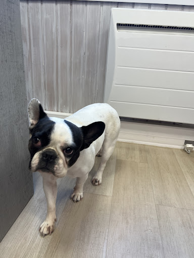 Photo from customer review